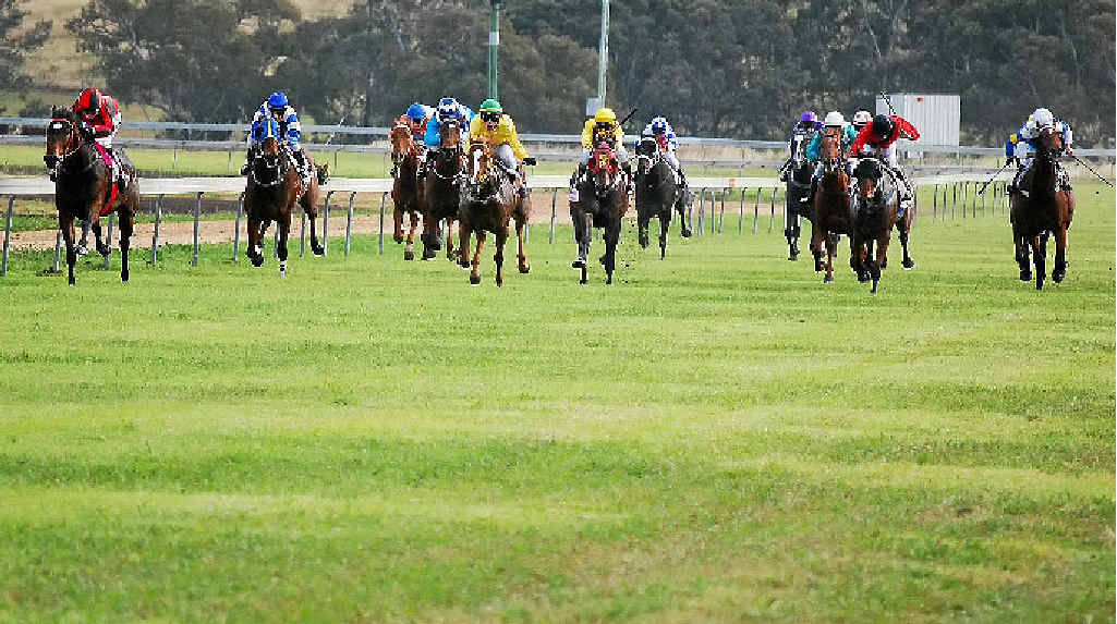 Action in race 1 on Saturday at Allman Park. Action in race 1 on Saturday at Allman Park.
